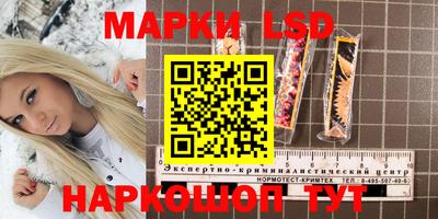 Альфа ПВП Заволжье
