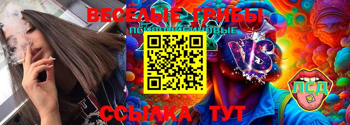 Псилоцибиновые грибы Cubensis Корсаков
