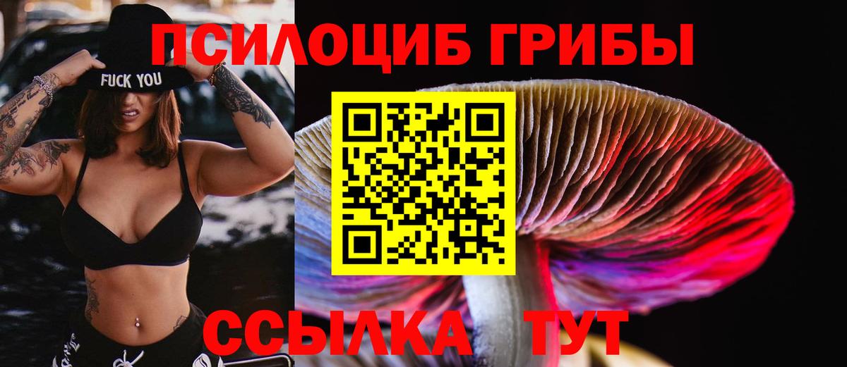 Корсаков  Псилоцибиновые грибы мицелий  Псилоцибиновые грибы Magic Shrooms  Вход с VPN 