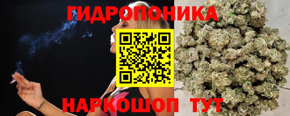 Конопля семена Корсаков